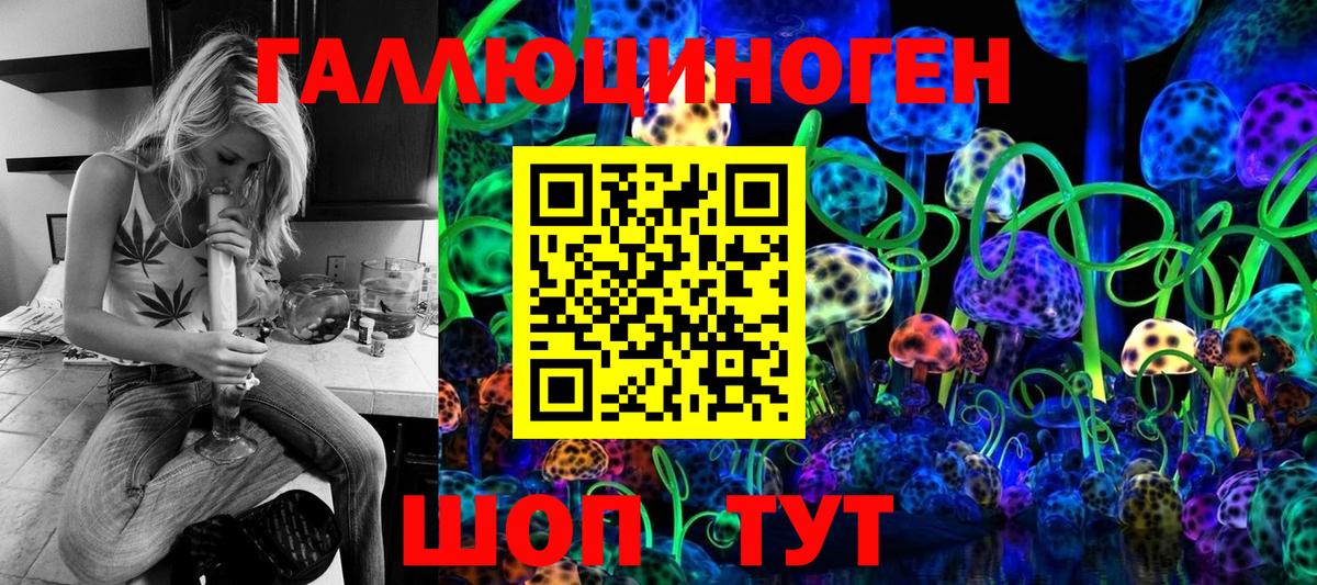 Псилоцибиновые грибы мицелий Тосно