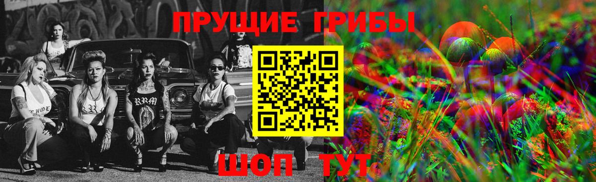 Тосно  Галлюциногенные грибы мухоморы  Вход с VPN  Галлюциногенные грибы ЛСД 